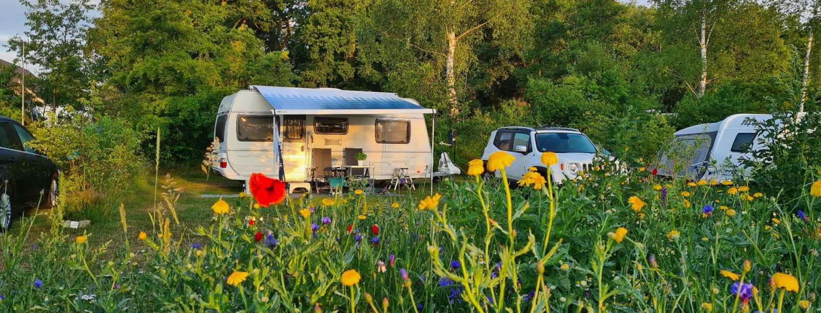 Camping Jelly's Hoeve — photo 3
