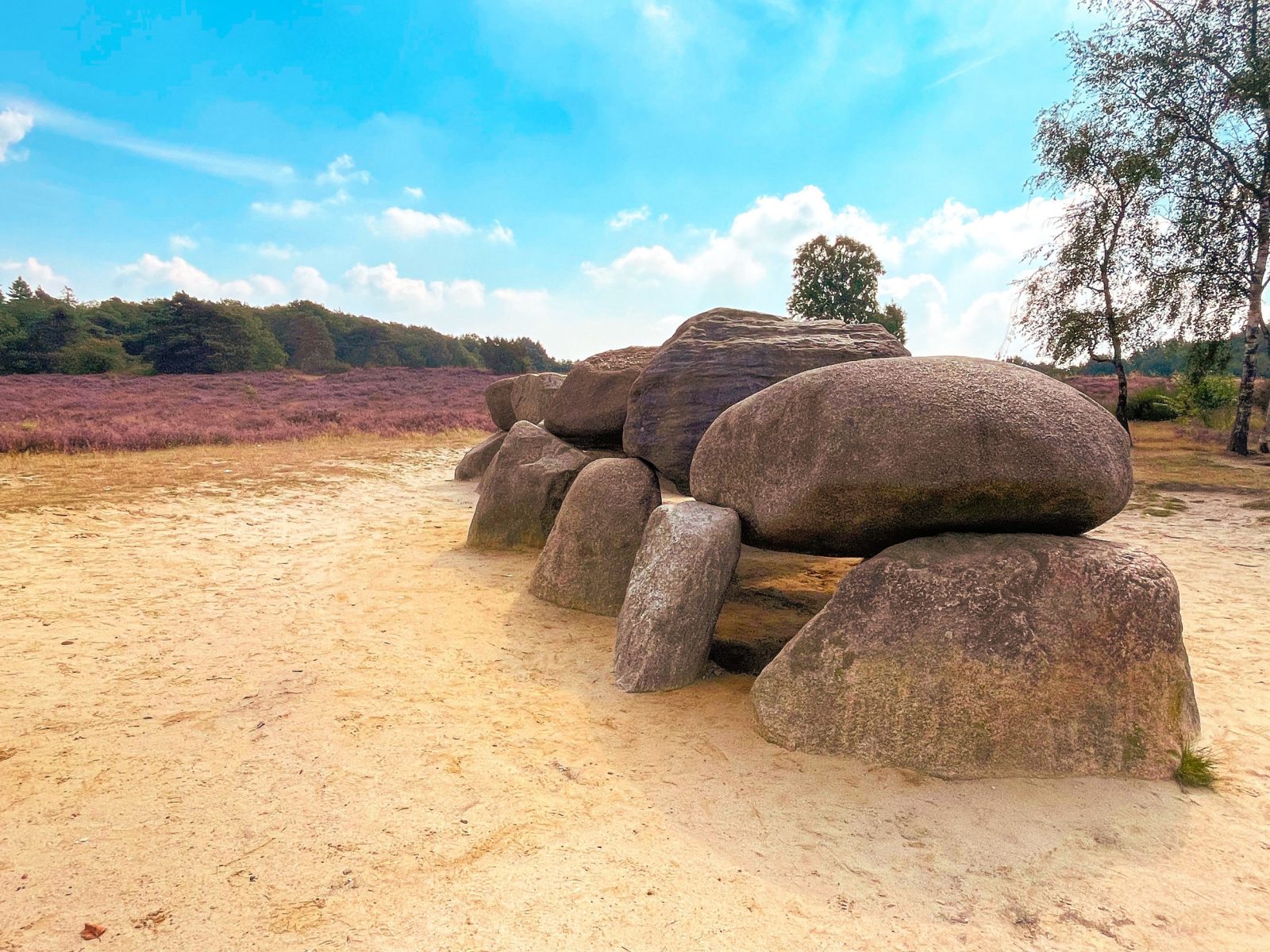 Fietsen En Wandelen In Drenthe | Camping Jelly's Hoeve